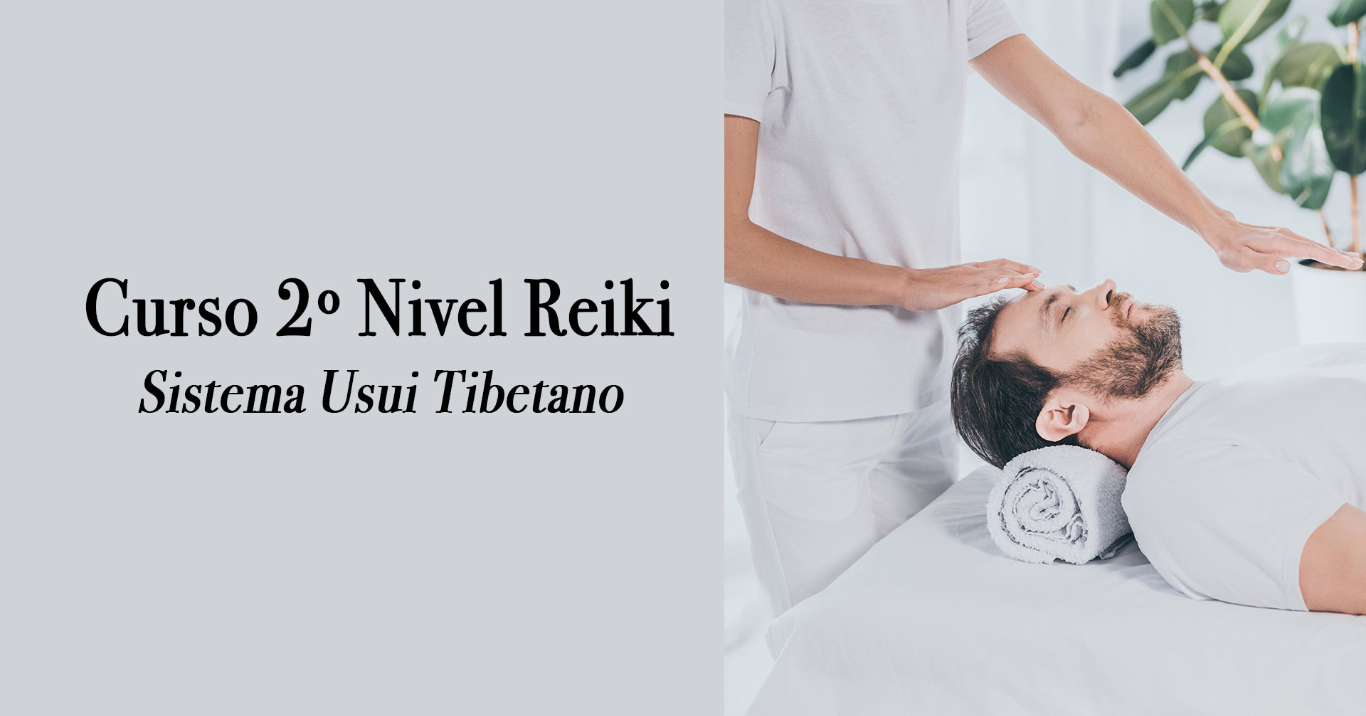 reiki 2 nivel en nutricula